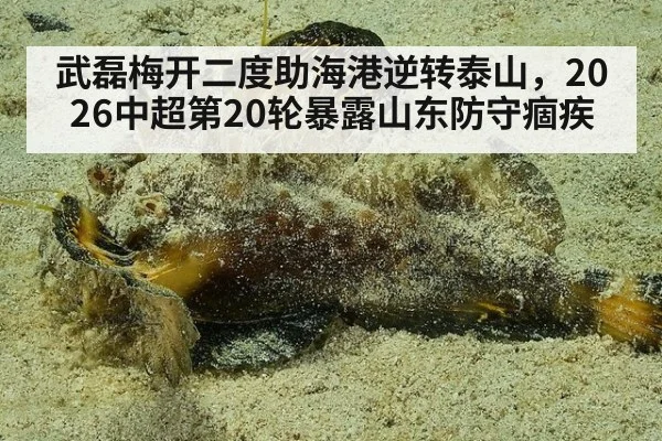 武磊梅开二度助海港逆转泰山，2026中超第20轮暴露山东防守痼疾